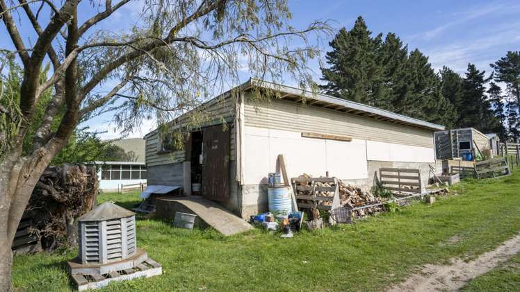 42 Falcon Street Palmerston_23