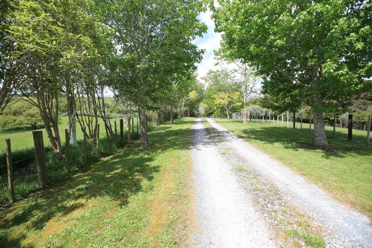 5272 Kaipara Coast Highway Wellsford_12