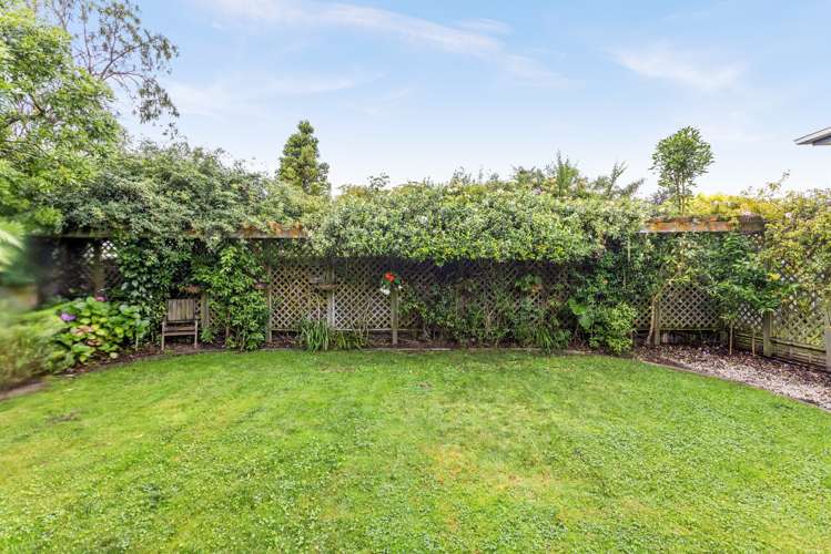 37 Maltby Street Meeanee_19