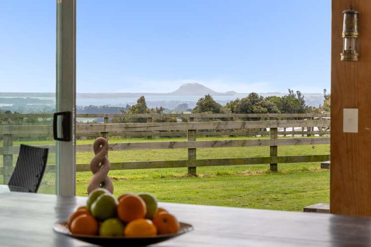 1039c Work Road Whakamarama_5