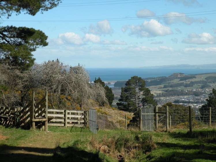 92 Mcmeakin Road Mount Grand_14