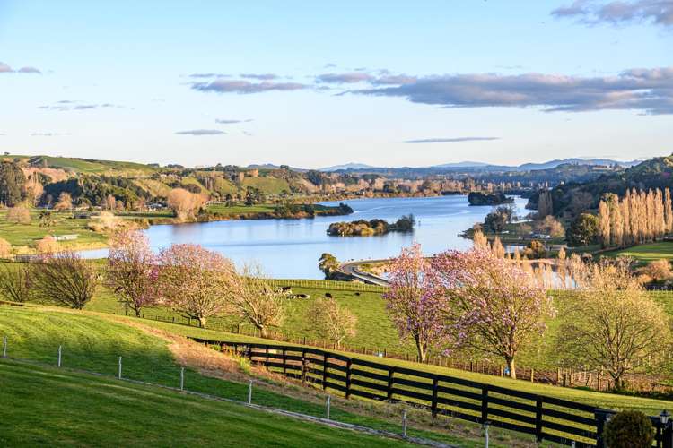 2400 Maungatautari Road Cambridge_27