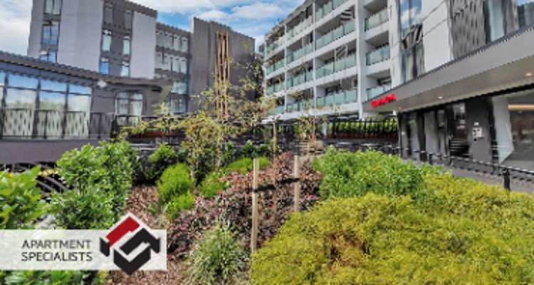 302/43c Gillies Avenue_0