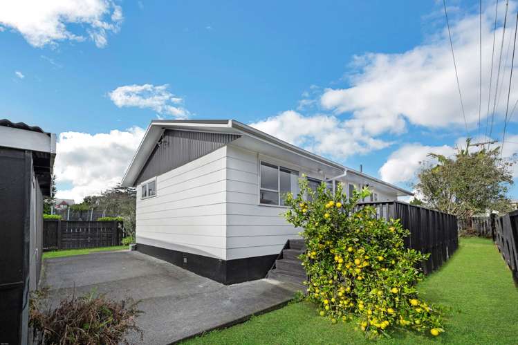 19 Ribblesdale Raod Henderson_22