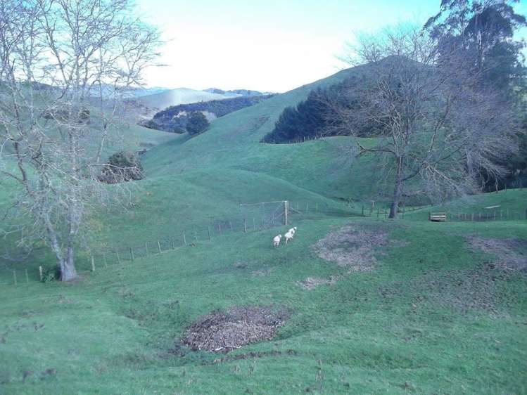 354 Hikumutu Road Taumarunui_26