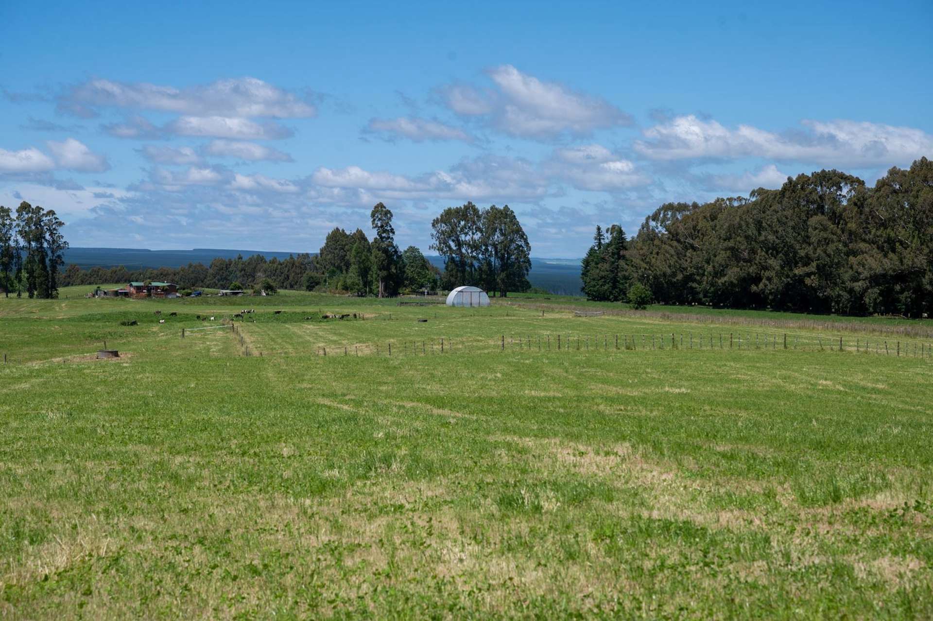 Rakau Road Reporoa and Surrounds_0