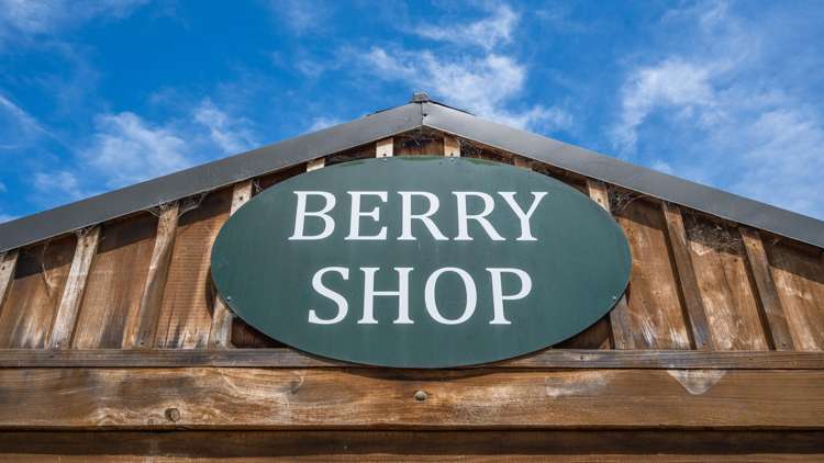 40 Rhodes Road Tai Tapu_36