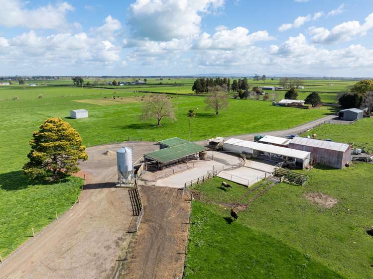 208 Diagonal Road Morrinsville_2