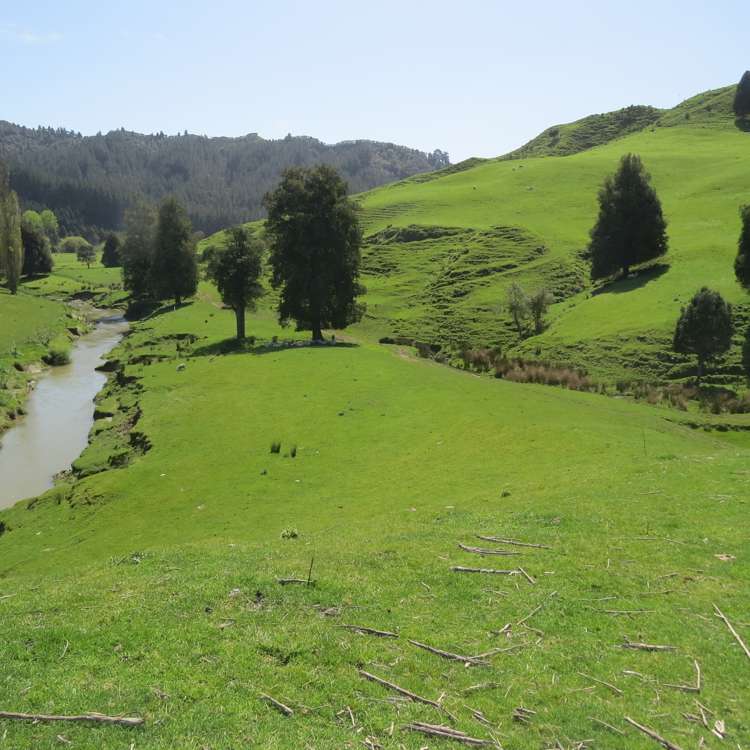 167 Whenuakura Road Waimiha-Ongarue_6