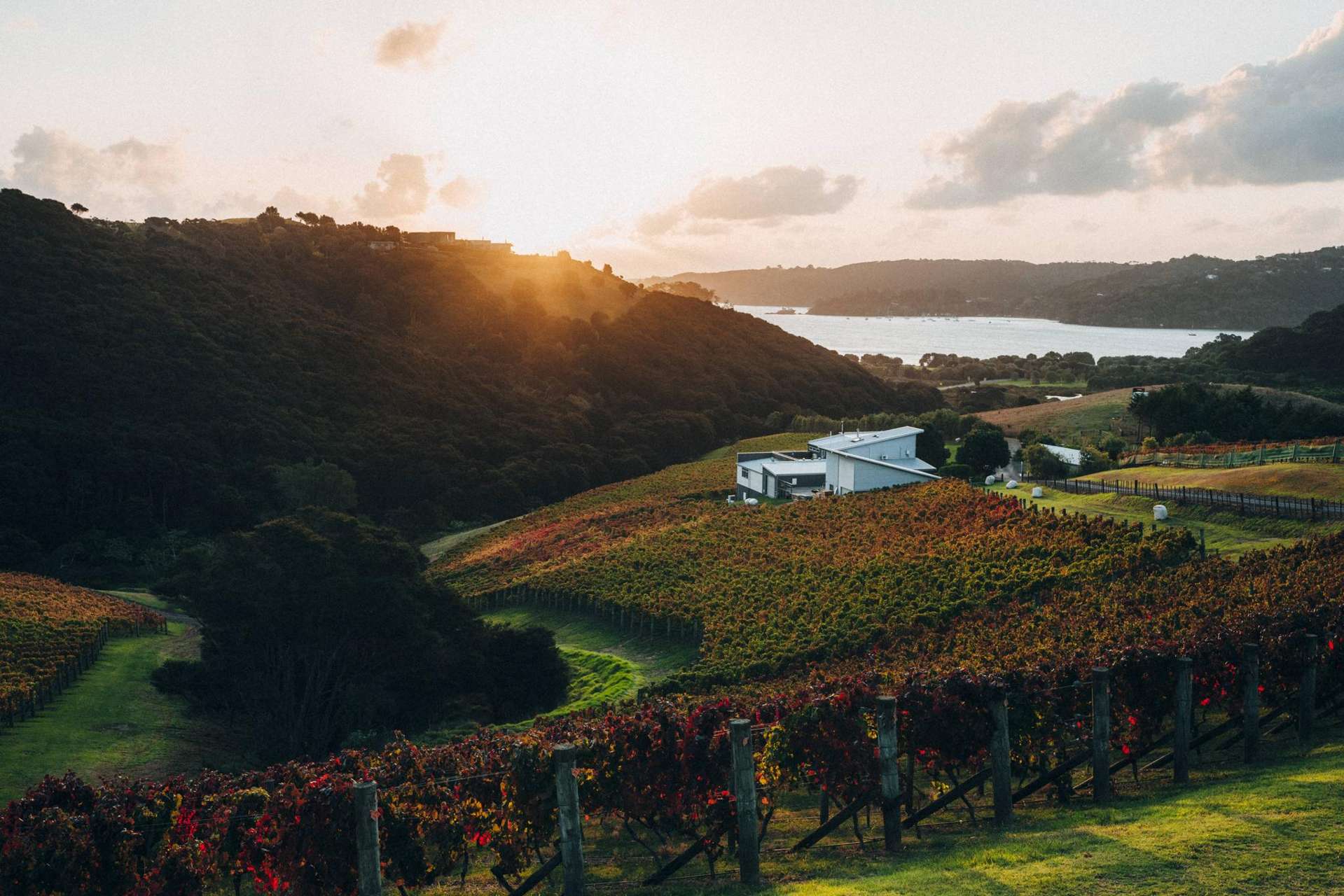 379B, E and C Gordons Road Omiha_0