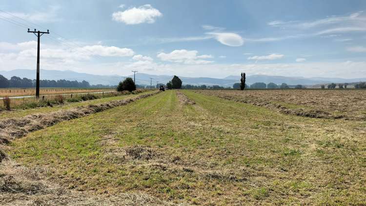 80 Mcdonald Road Lumsden Surrounds_5