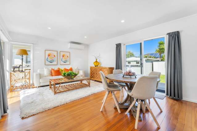 68 Webster Avenue Mount Roskill_3