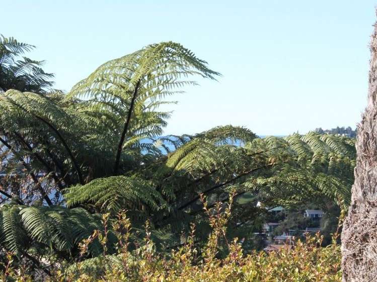 28 Hinemoa Terrace Tairua_9