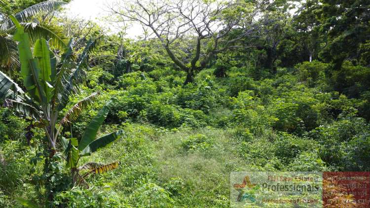 Address withheld Taveuni_3