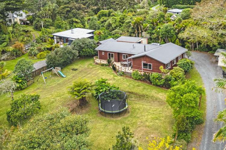 40 Driving Creek Road_4