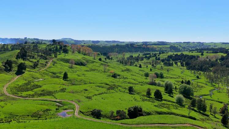 246 Allen and Eyre Road Onewhero_13