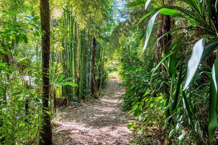 42 Kopiko Road Titirangi_5