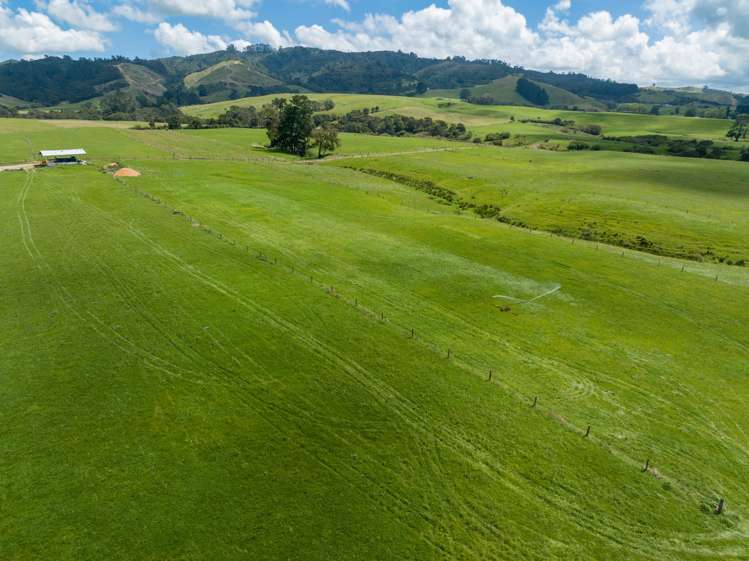 224 Herbert Road Morrinsville_18