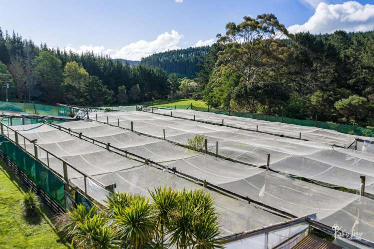 70 Rototuna Rd Pouto_40