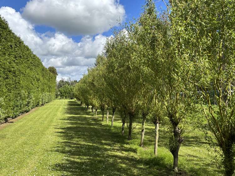 22A Walkers Road Longburn_29