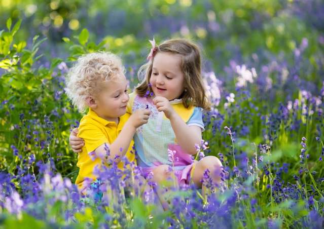 Address withheld Hamilton Central_1