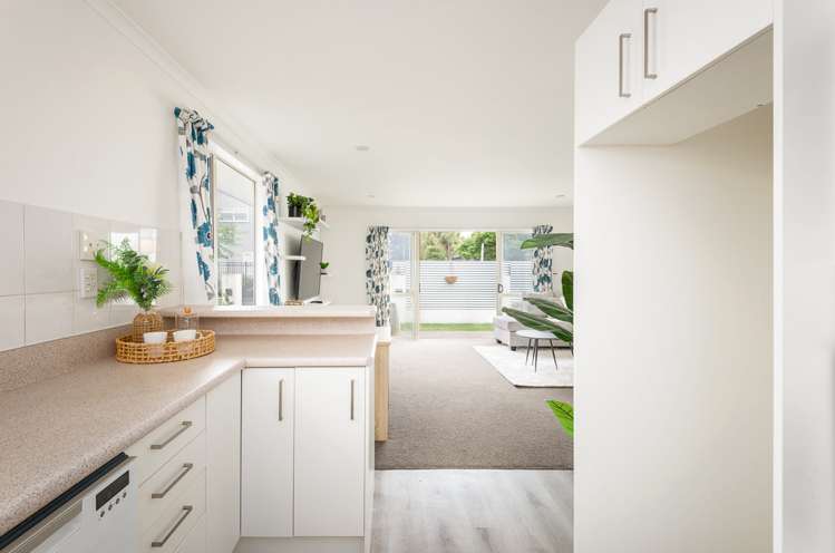 46 Rosewarne Street Spreydon_5