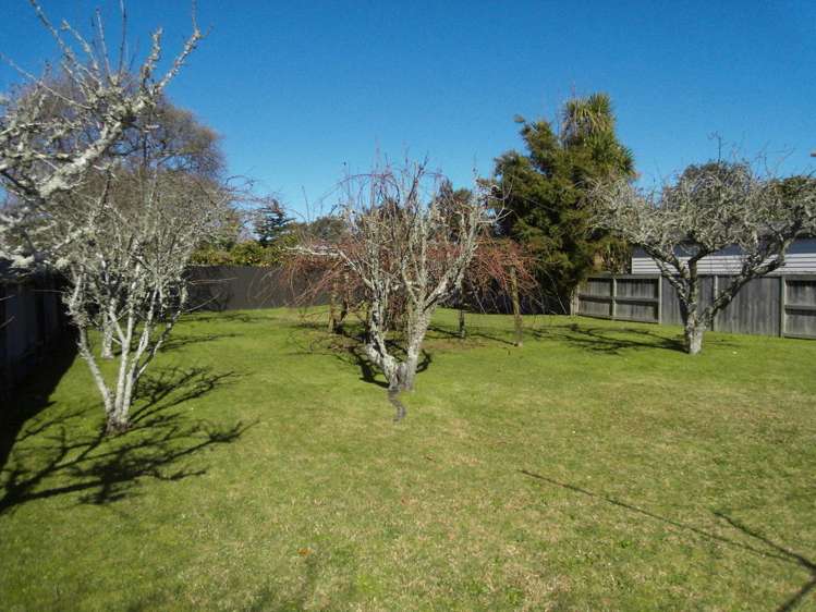 30 Naylor Street Hamilton East_1