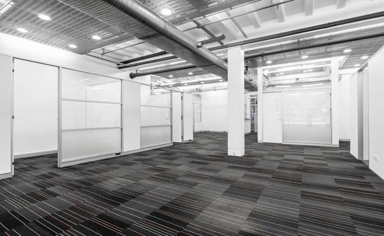 4/72 Dominion Road Mount Eden_2