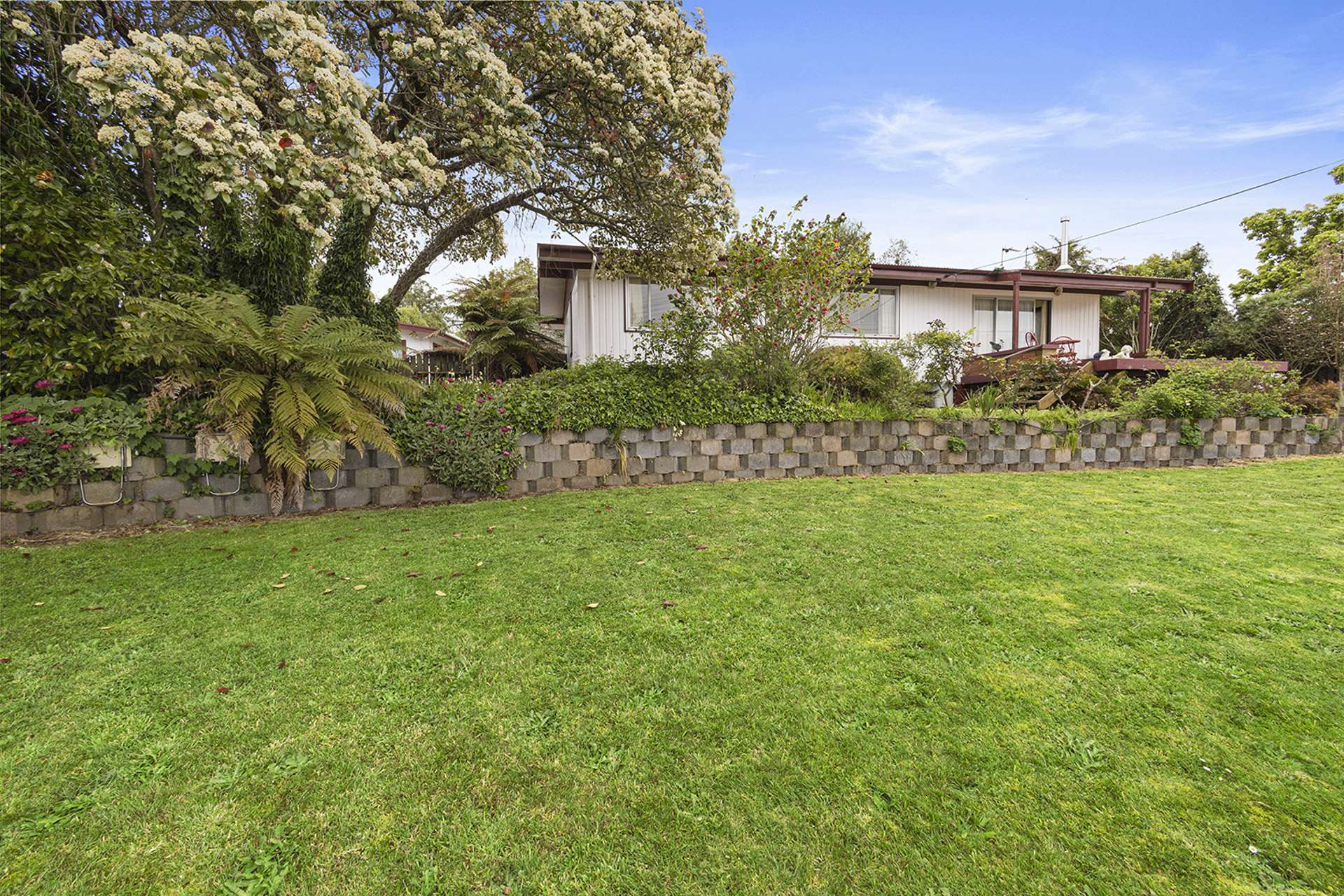 41 Prospect Avenue Tirau_0