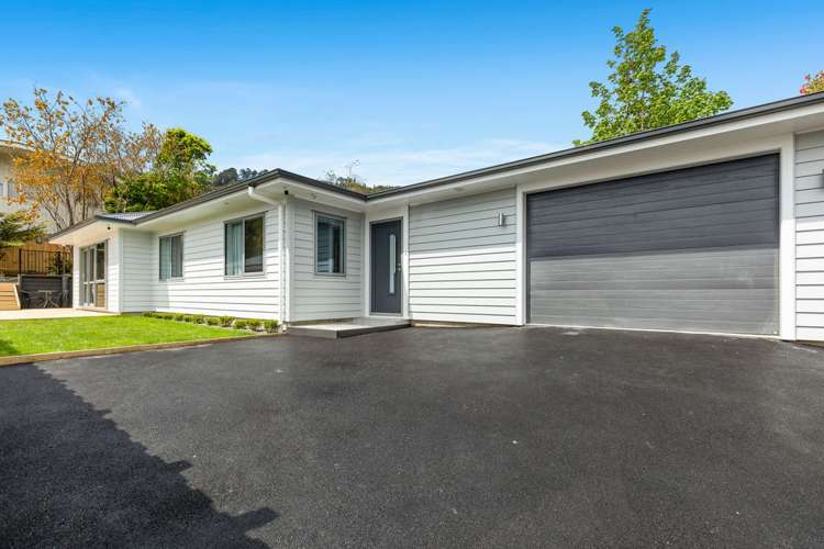 95c Horoeka Street Stokes Valley_0