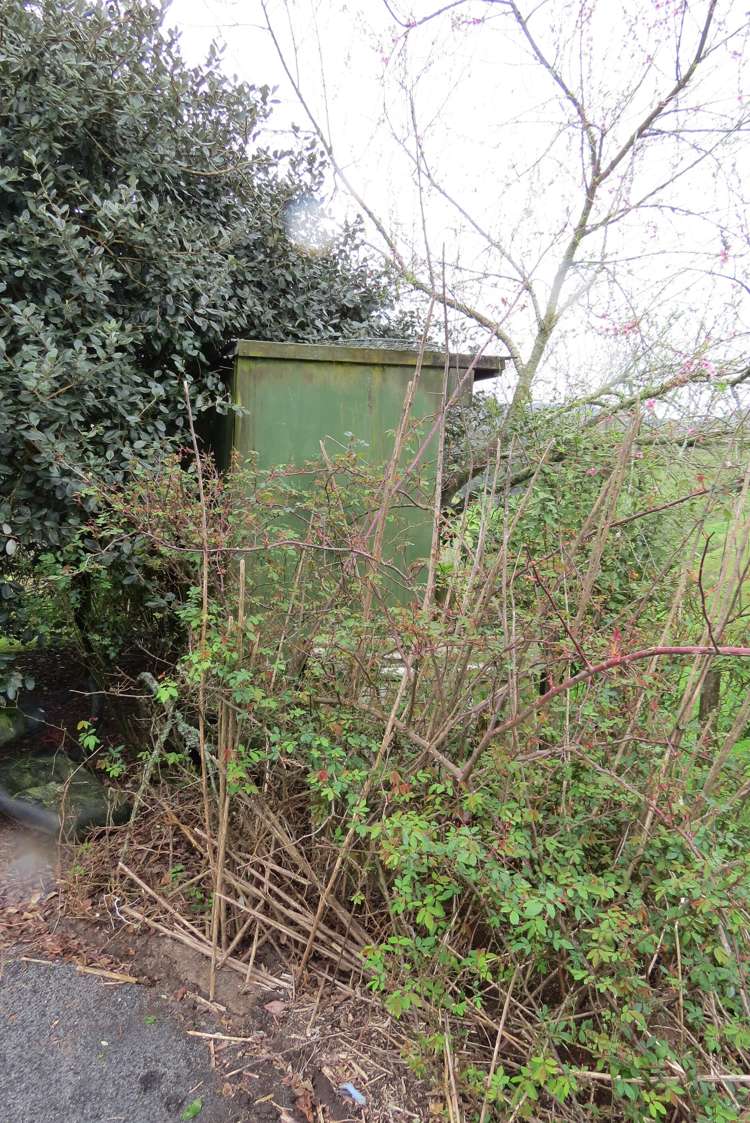 494 Waitekauri Road Waikino_10