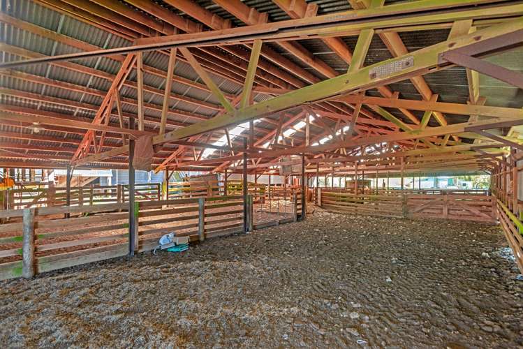 1271 Rakauroa Road Matawai_9