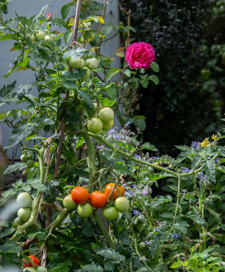 52 Rayner Road Huntly_17