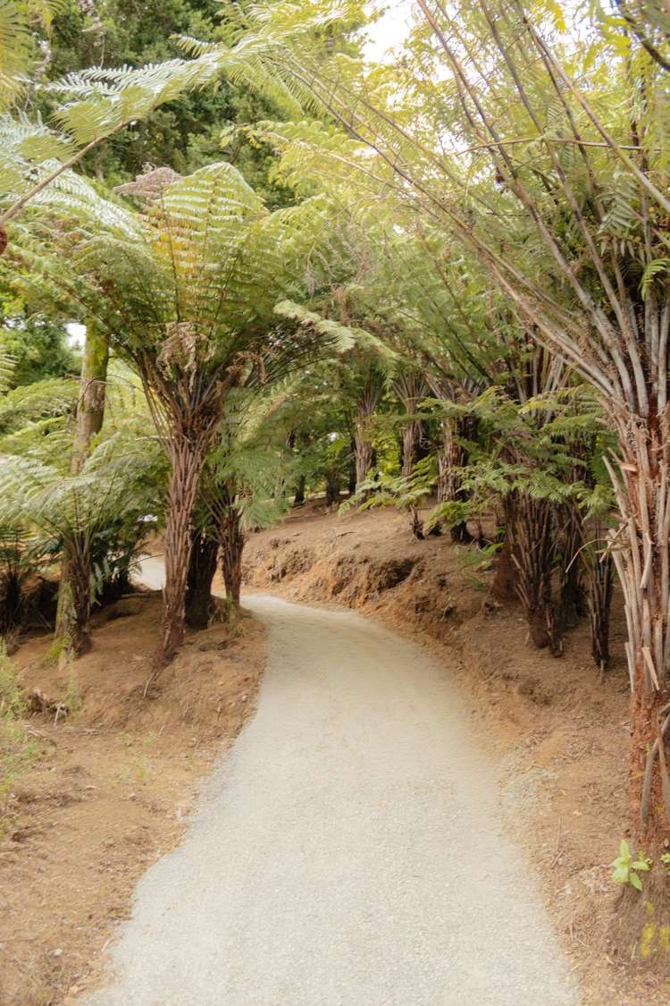 8375 State Highway 2 Waikino_18
