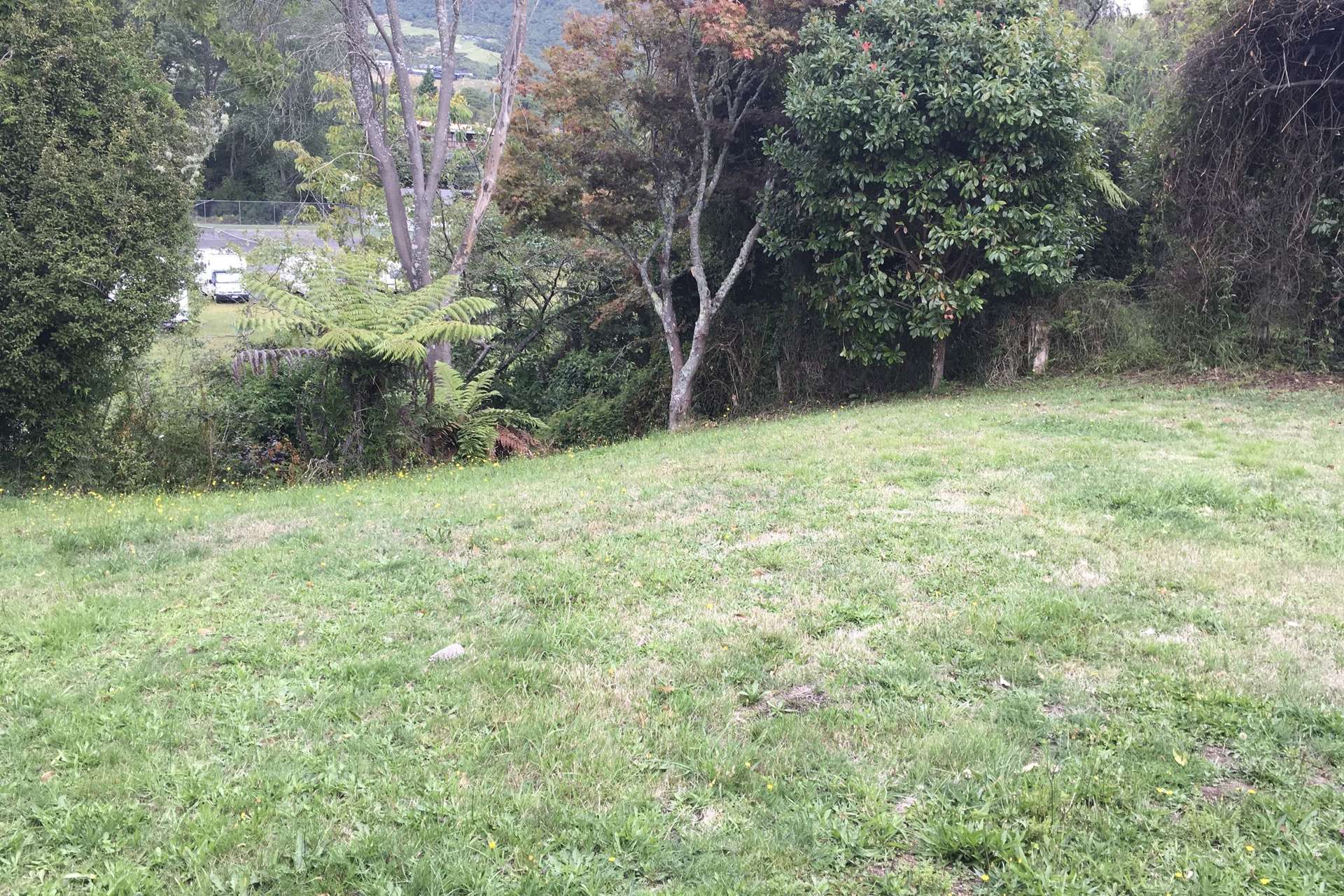 19 Kinloch Road Kinloch_0