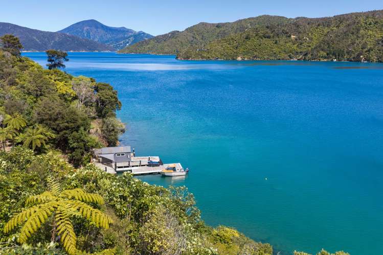 Lot 9 Blackwood Bay Queen Charlotte Sound_14