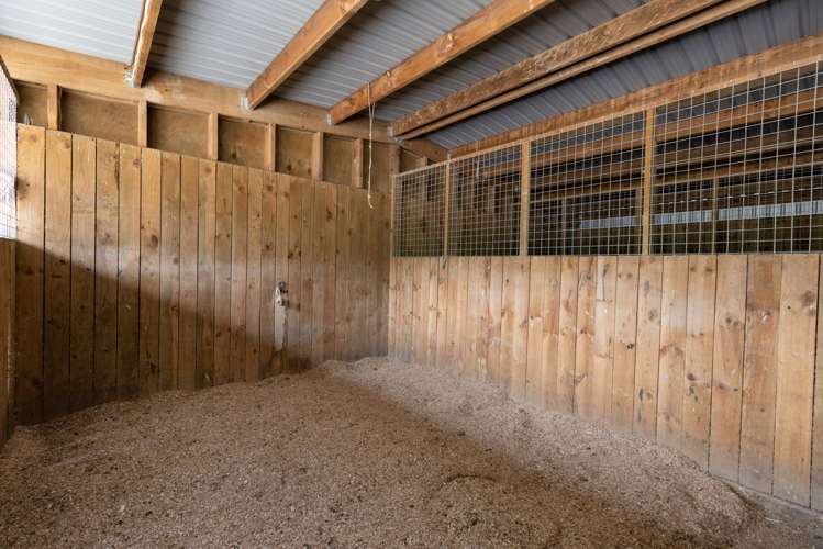 221 Waitao Road Kaimai_28