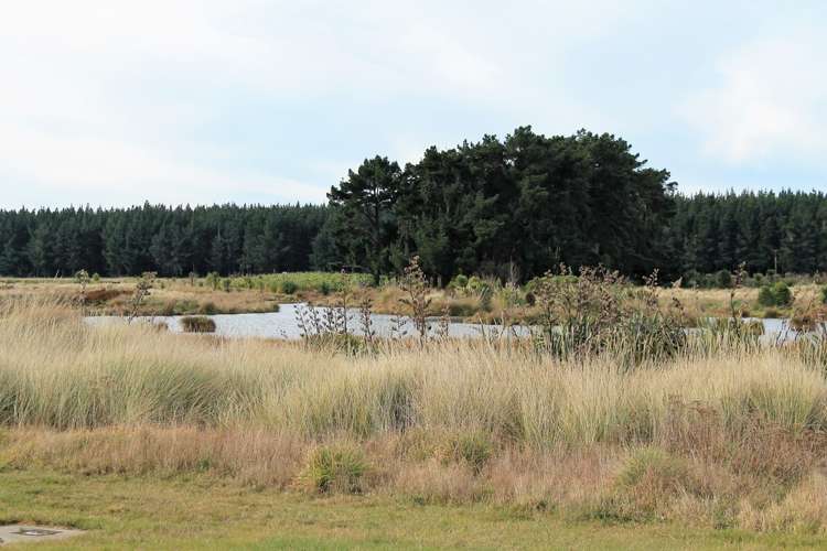 62 Te Kohanga Drive Pegasus_0