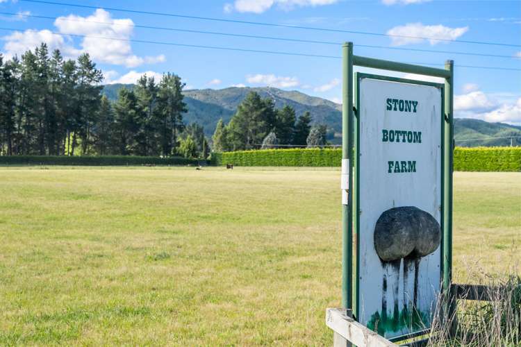 1944 State Highway 63 Wairau Valley_51