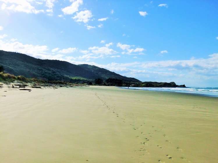 25 Blakes Approach Mahia_6