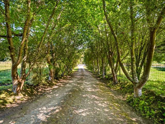 260 Kaiwhaiki Road Kaiwhaiki_4