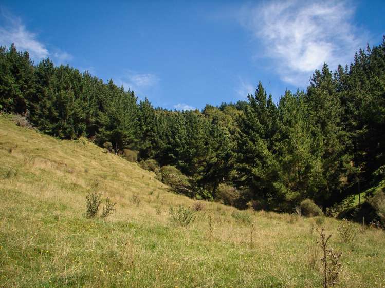 82 Carter Road Taumarunui_15