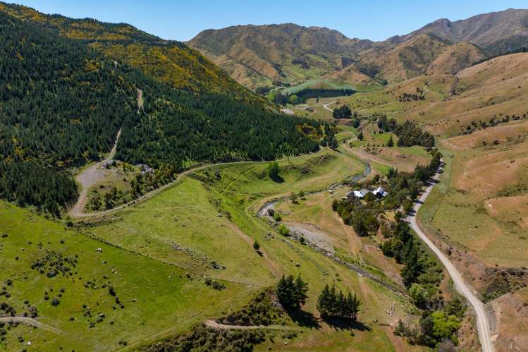 1067 Taylor Pass Road_5