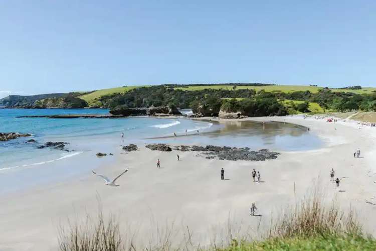 31 Taiao Rise Warkworth_16