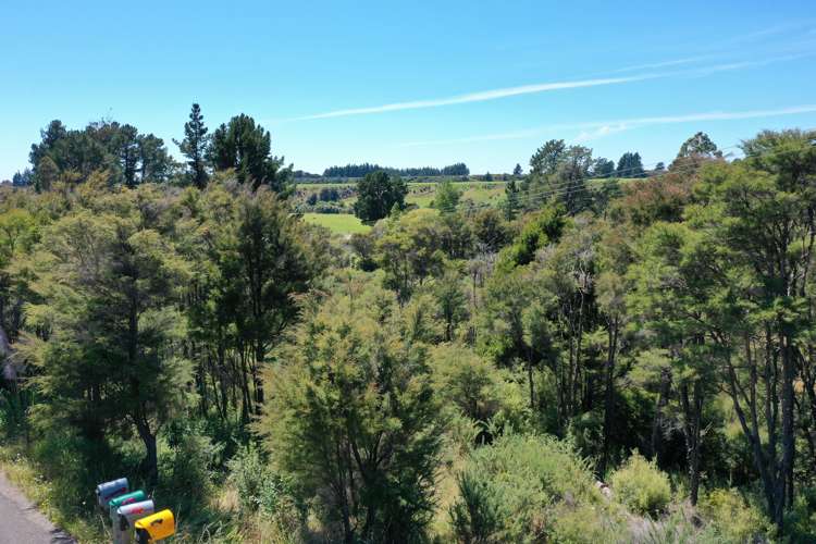 15 Onekaka Iron Works Road Kahurangi National Park_12