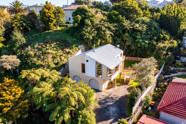 55 Maratahu Street Westown_11