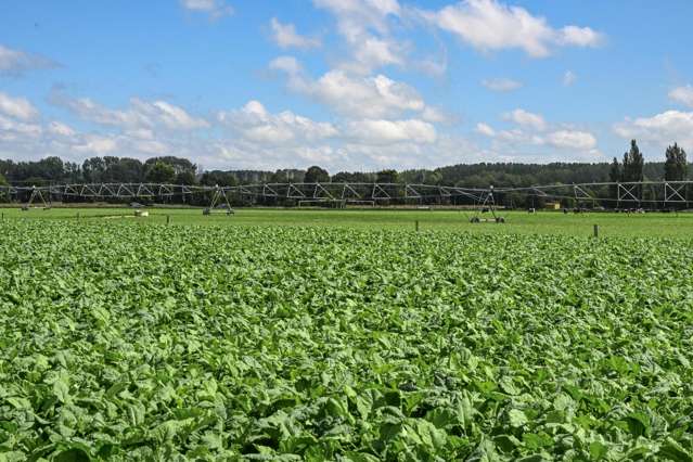 Arowhenua support block