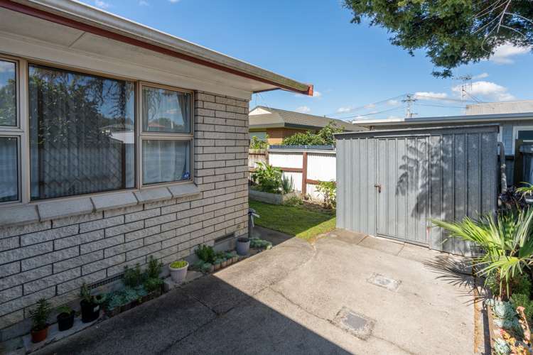 4a Daisy Street Claudelands_13