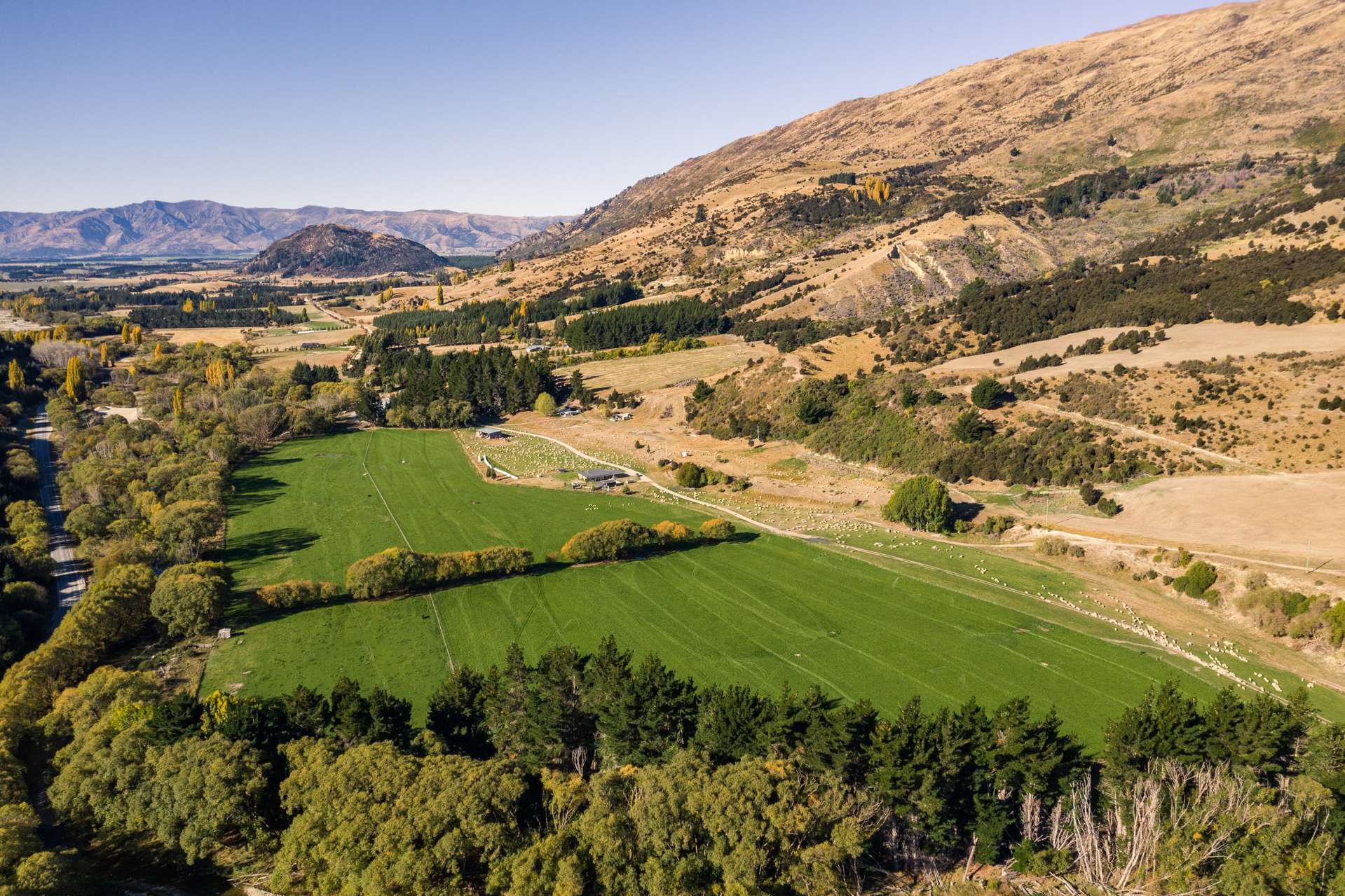 446 Cardrona Valley Road Wanaka_0