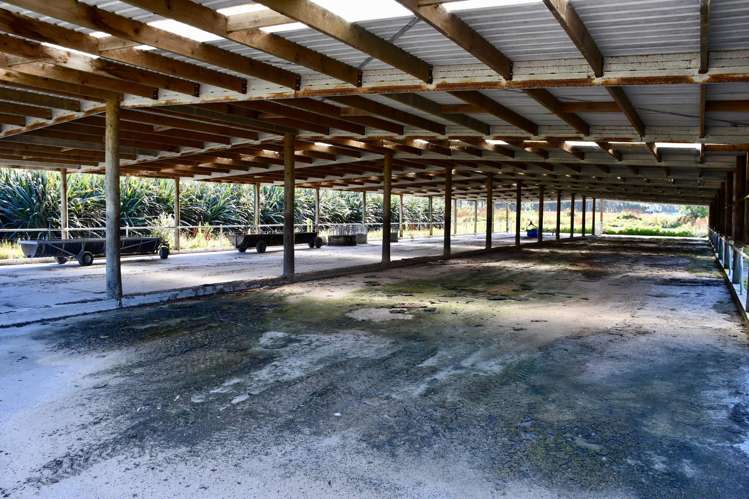 302 Kohaihai Road Karamea_11